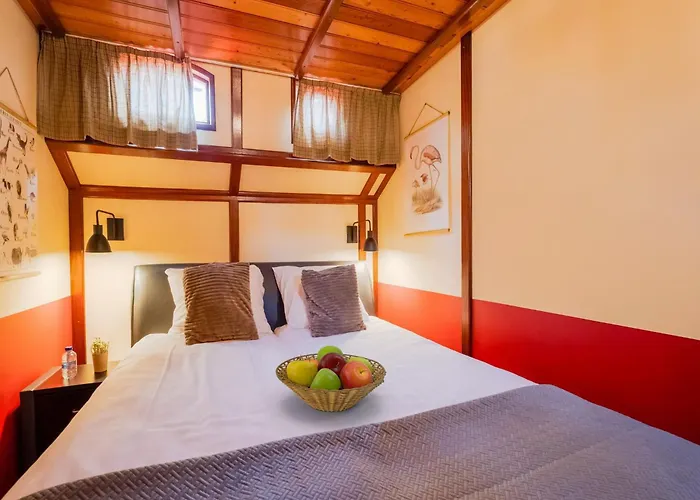 Boat Bliss On The Zandmeren Botel