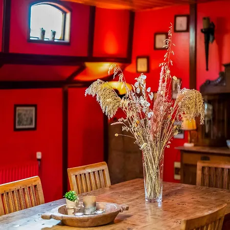 Boat Bliss On The Zandmeren